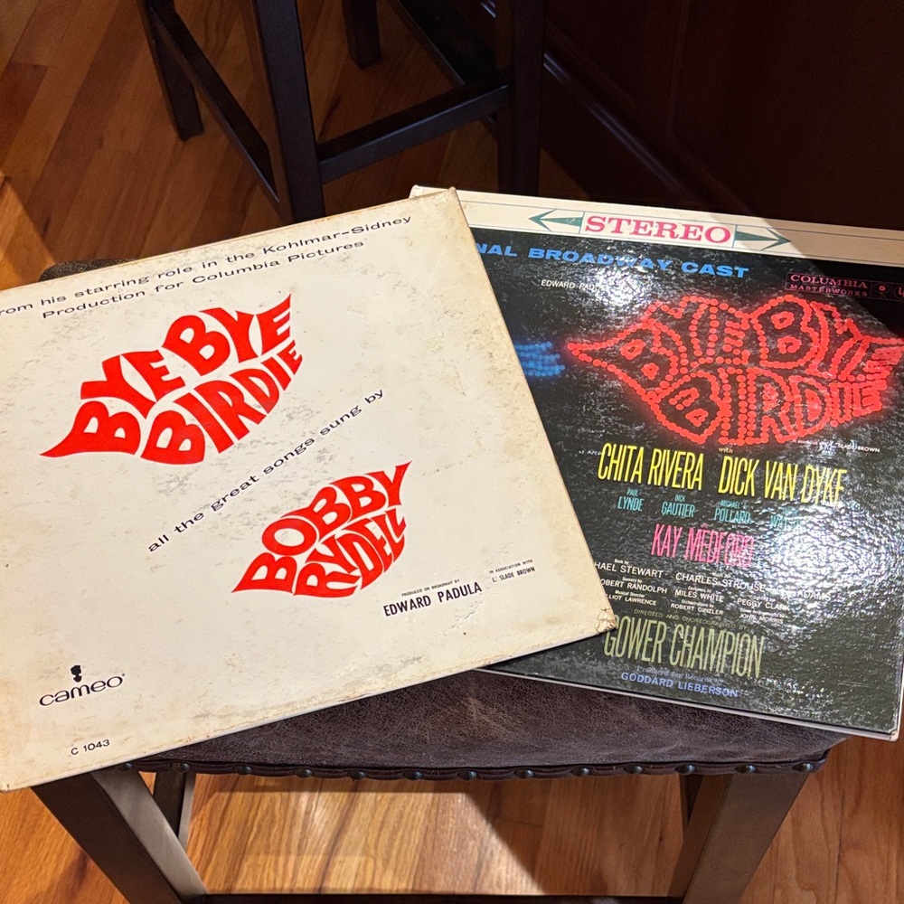 TWO Bye Bye Birdie Vinyls original broadway